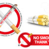 PVC Tafel Gross "No Smoking"-0