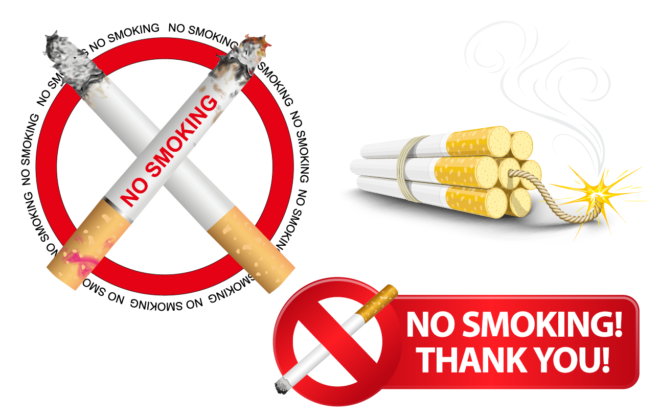 PVC Tafel Gross "No Smoking"-0